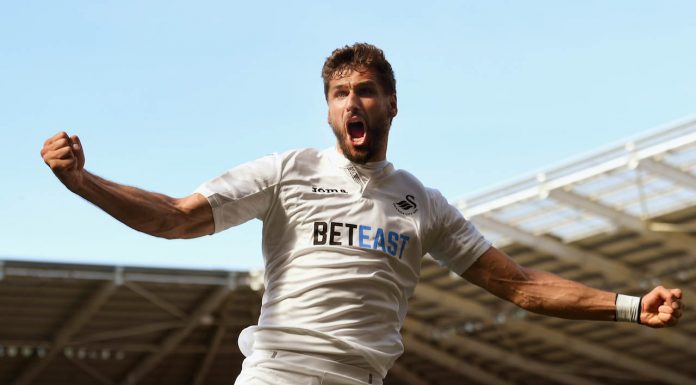 fernando llorente