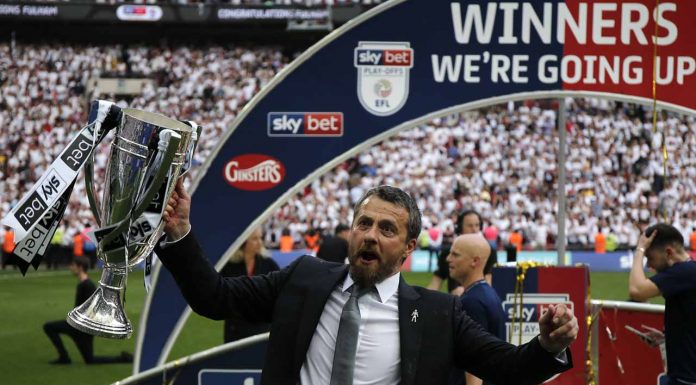Slavisa Jokanovic