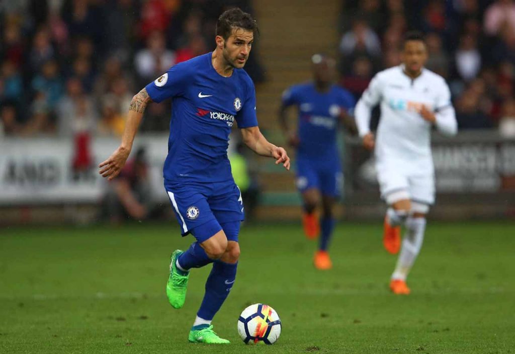 Cesc Swans