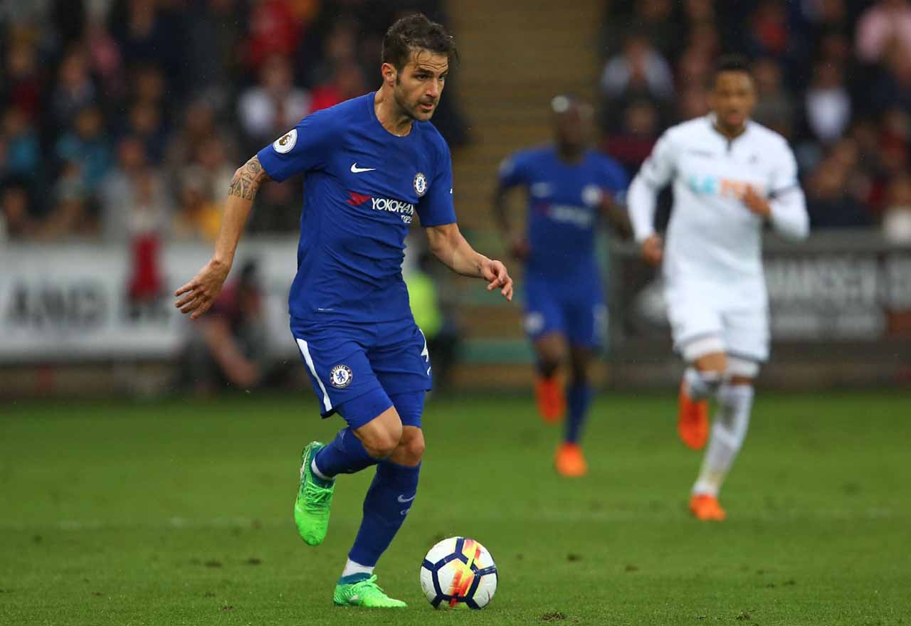 Cesc Swans