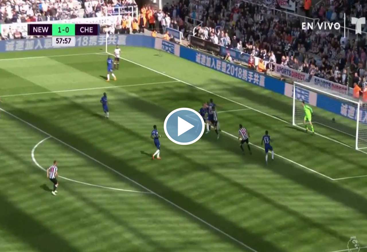 Perez Brace