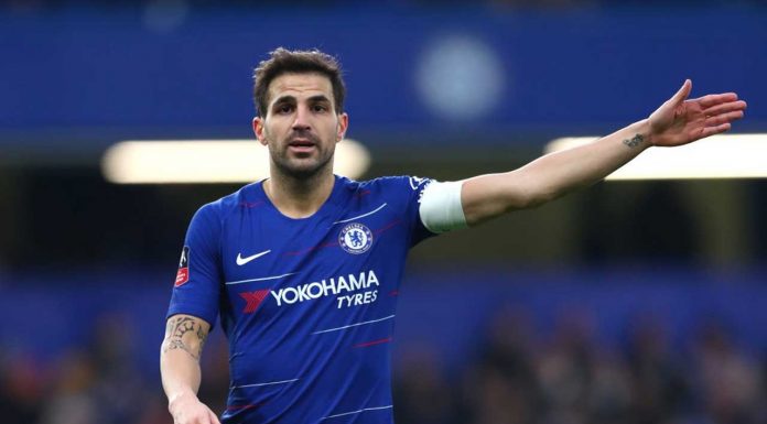 Cesc Fabregas