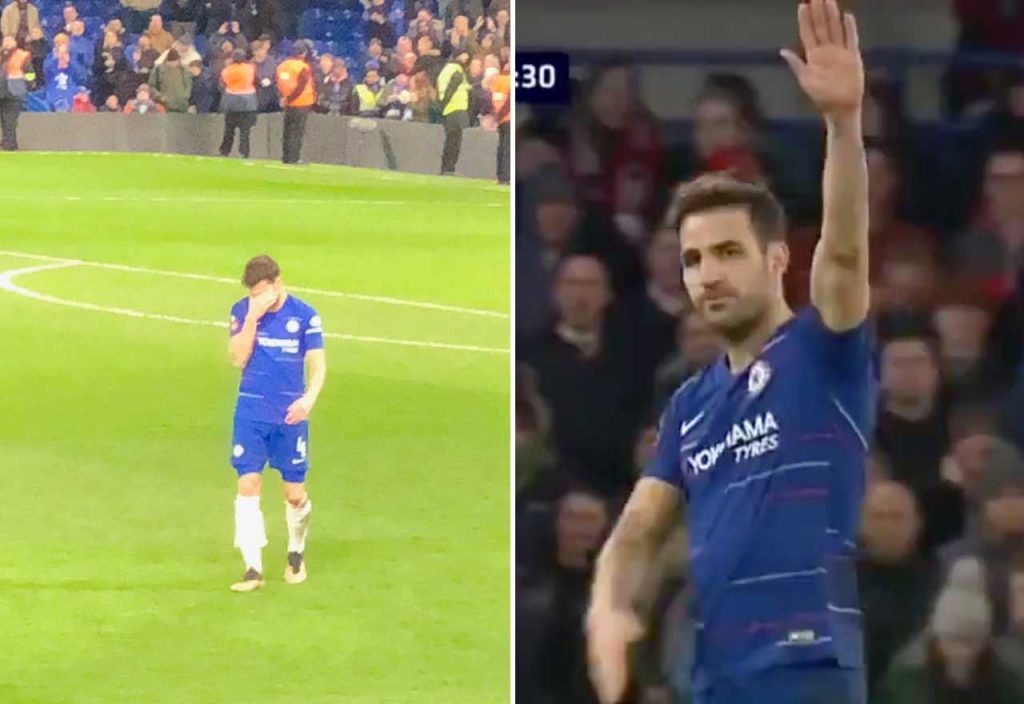 Cesc Fabregas