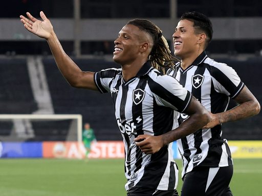 Danilo of Botafogo celebrates with a teammate