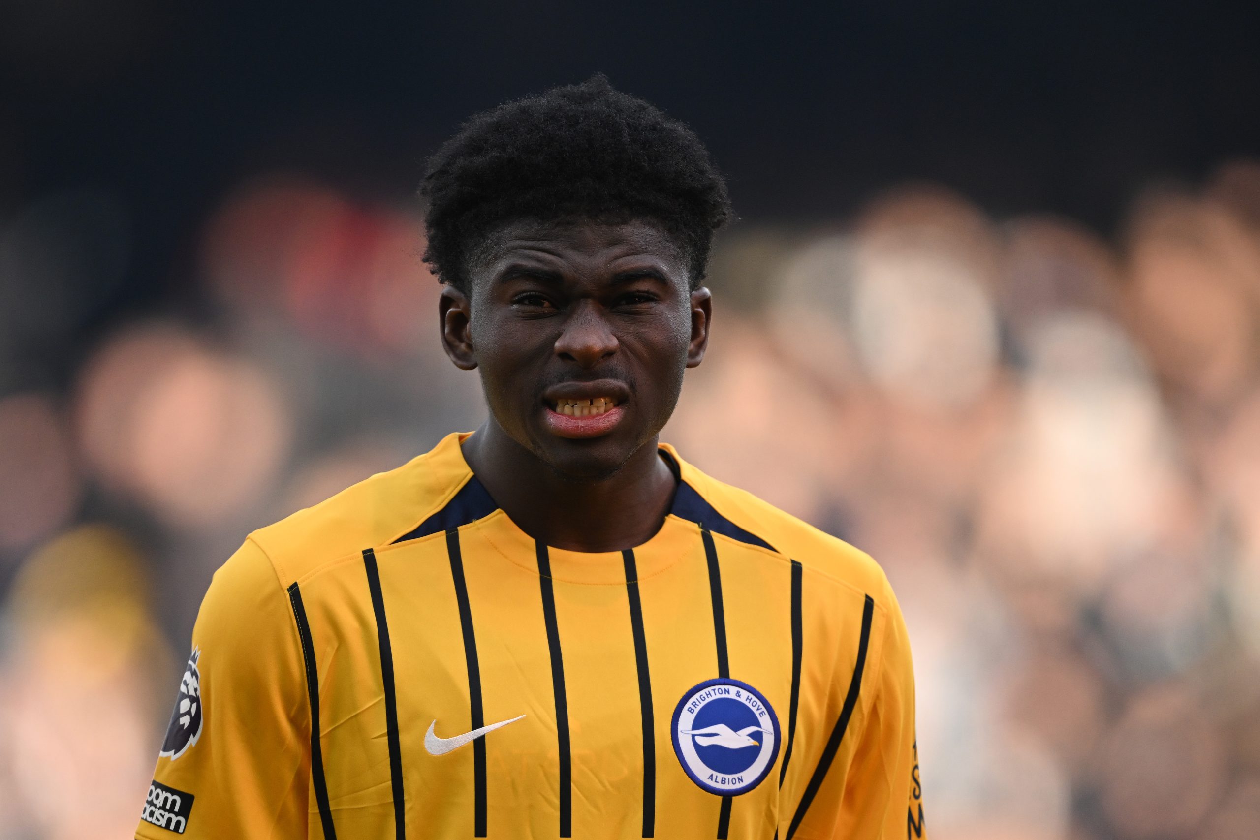 fulham v brighton and hove albion premier league fulham v brighton and hove albion premier league