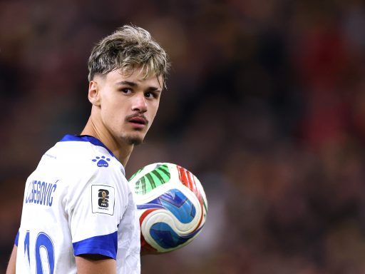 Kerim Alajbegovic of Bosnia and Herzegovina