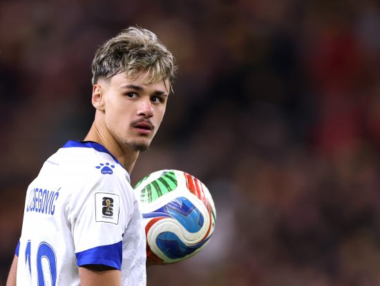 Kerim Alajbegovic of Bosnia and Herzegovina