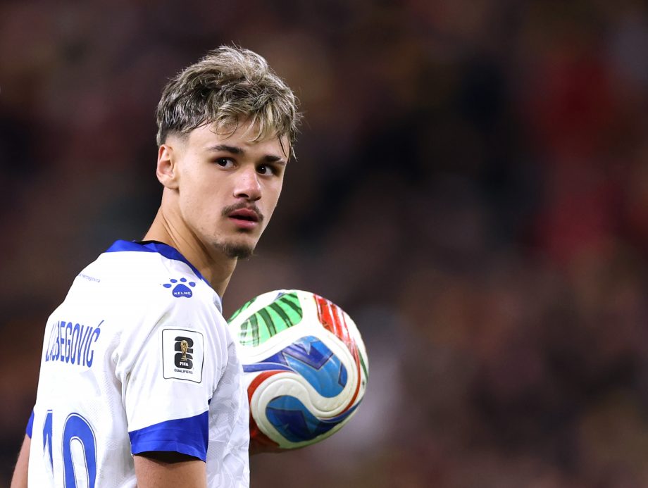 Kerim Alajbegovic of Bosnia and Herzegovina