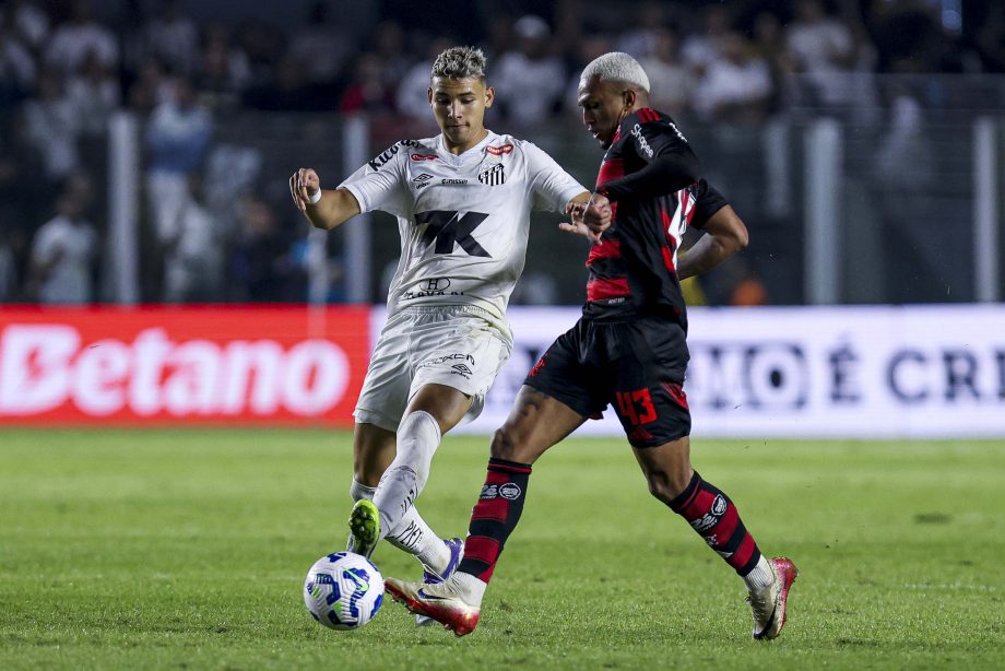 santos v flamengo brasileirao