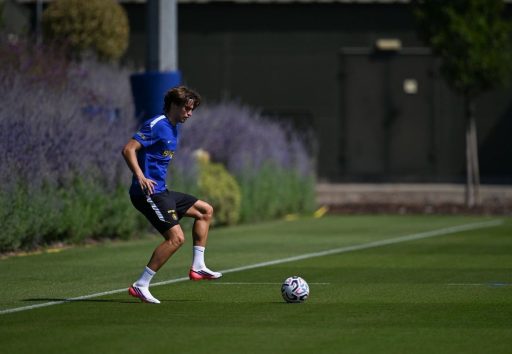 Marco Palestra back in training