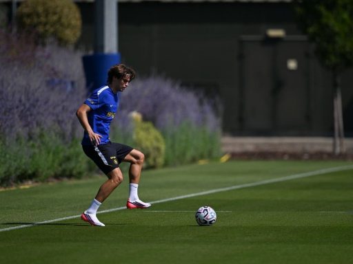Marco Palestra back in training