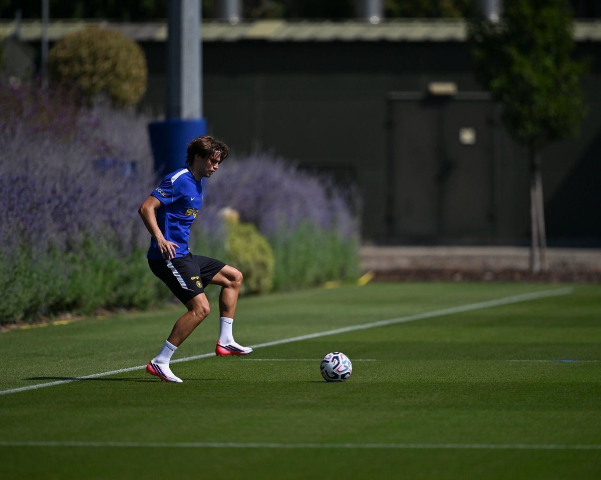Marco Palestra back in training