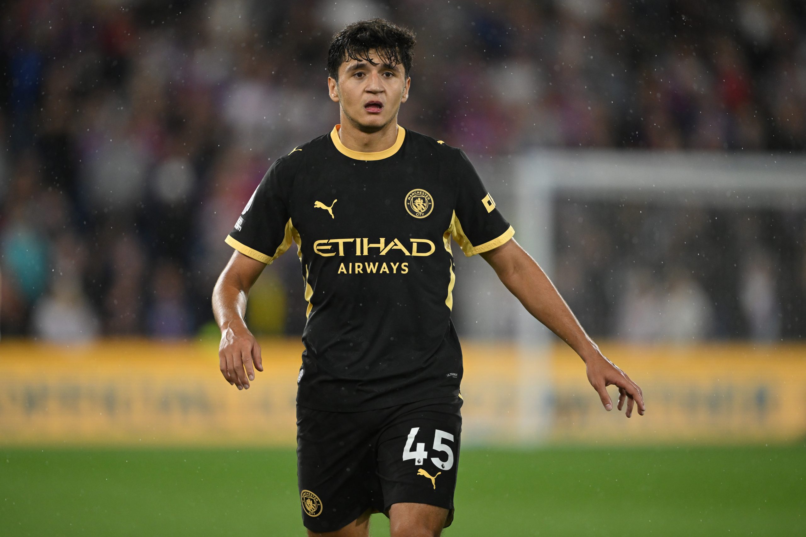 crystal palace fc v manchester city premier league crystal palace fc v manchester city premier league