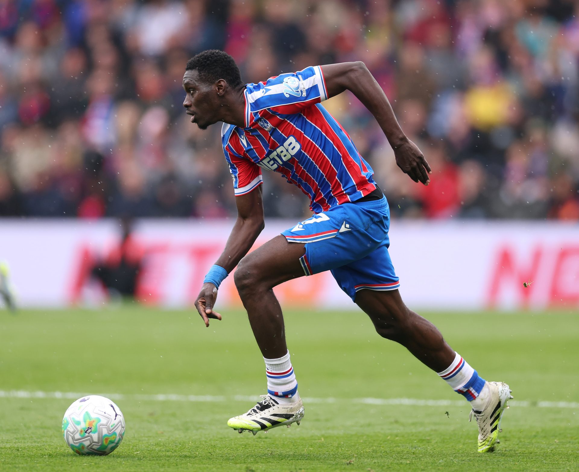 crystal palace v everton premier league